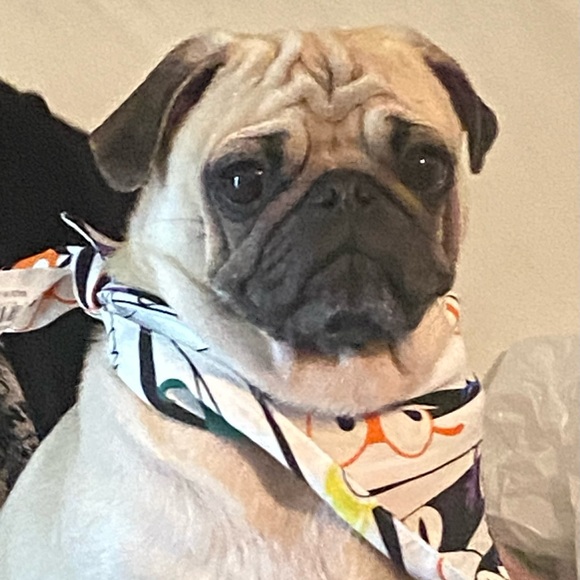 Meet your Posher, Jodi - Picture 12 of 16